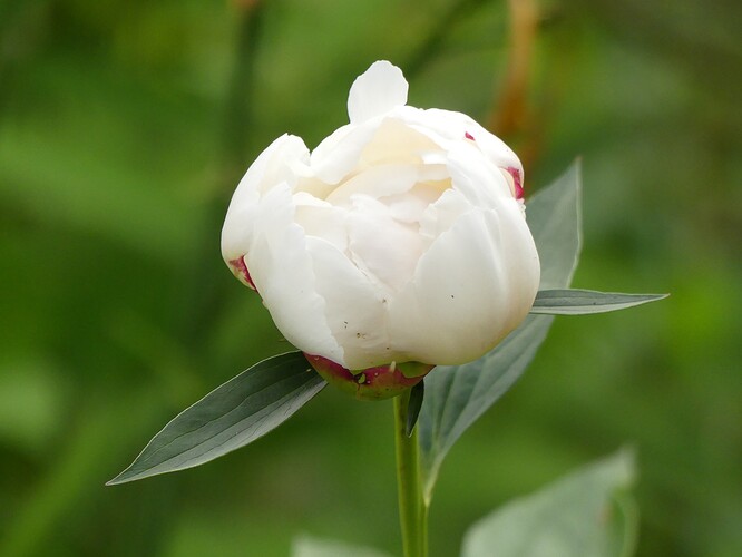 P1200845